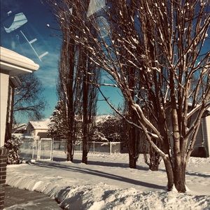 Meet your Posher, Micah